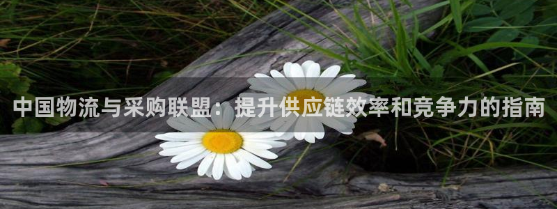28圈加拿大走势：中国物流与采购联盟