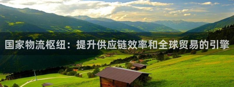 28圈客服电话：国家物流枢纽：提升供
