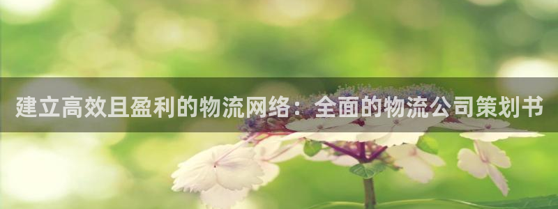 28圈加拿大6.0：建立高效且盈利的