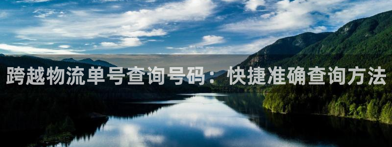 28圈官网版所有版本：跨越物流单号查