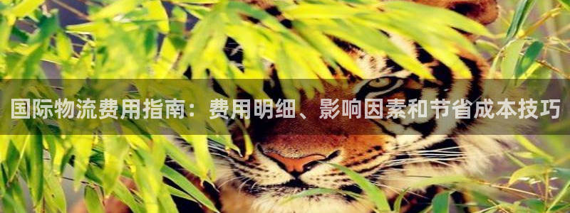 28圈官网开奖结果预测：国际物流费用
