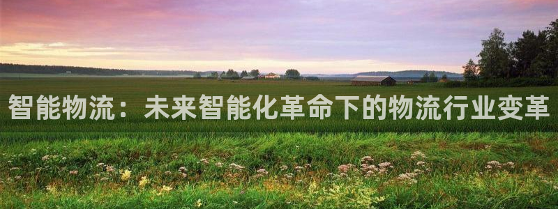 28圈登录：智能物流：未来智能化革命